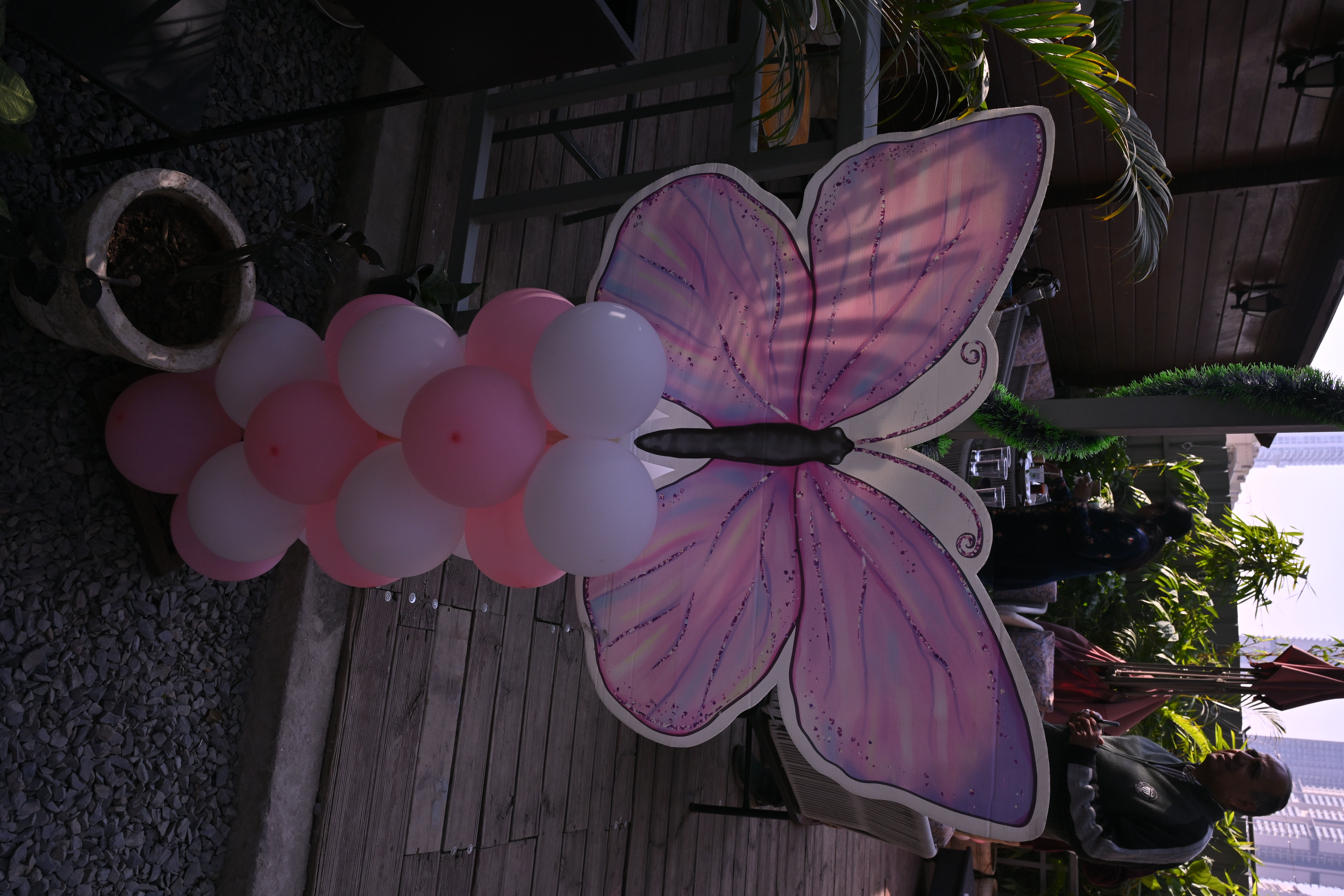 Butterfly Theme